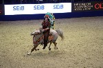 Quadrille - 00318